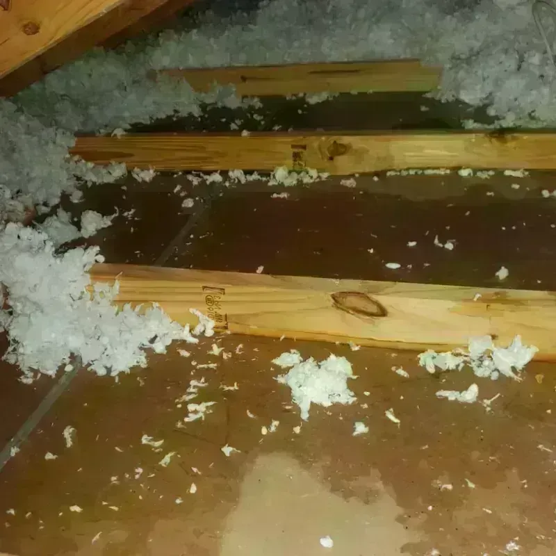 Attic Water Damage in Los Fresnos, TX